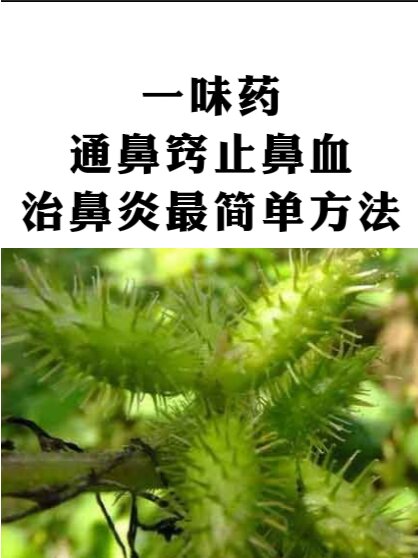 包含九军队行所止偏初起建鼻之人径的词条 包含九军队行所止偏初起建鼻之人径的词条